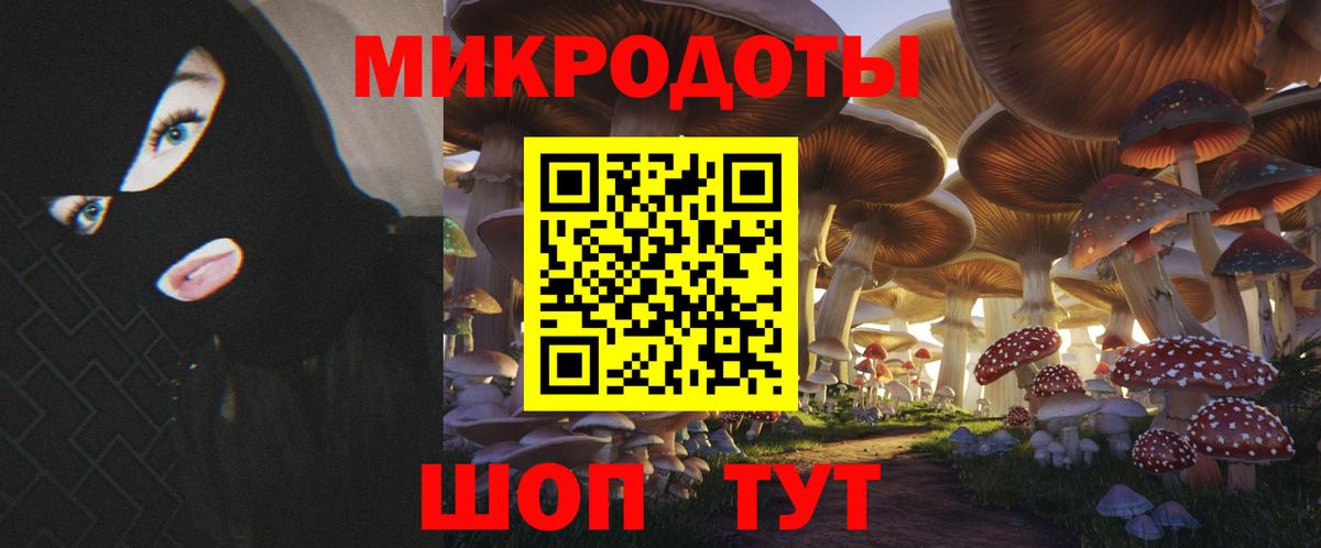 ГАШ  Канабис  Новошахтинск  Меф   Вход с VPN  Как найти наркотики?  LSD-25 
