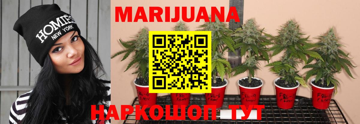 Марихуана THC 21% Новошахтинск